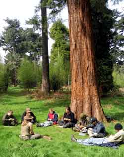 teaching bushcraft skills