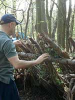 Making a Debris Shelter