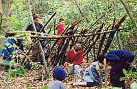 Making a Debris Shelter