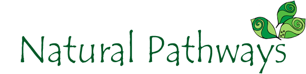 Bushcraft Courses by Natural Pathways