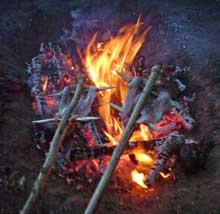 cooking wild food by campfire